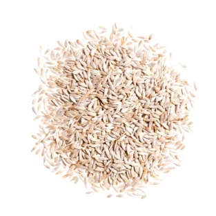 Lettuce Seeds (Tukhm e Kahu) تخم کاہو