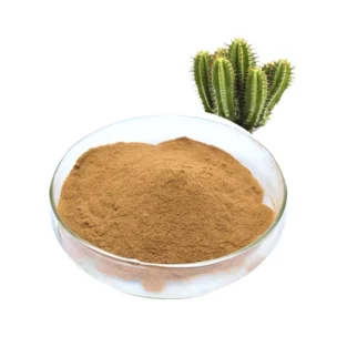 Hoodia gordonii Extract (African Hodia) - Image 1