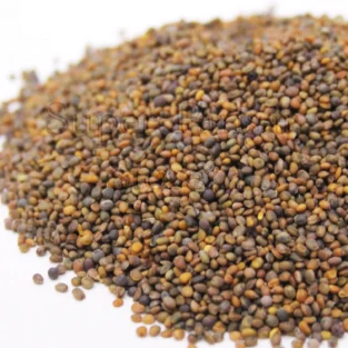 Arugula Seeds (Rocket Seeds/Taramira) تارامیرا