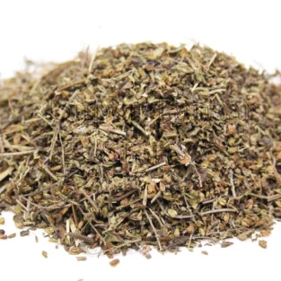 Catnip (Badranjboya/Nepeta Cataria) بادرنجبویہ