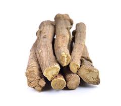 Argyreia Nervosa Root (Bekh Badhara) بدھارا