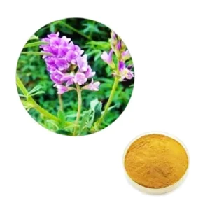Alfa Alfa Extract (Medicago Sativa)
