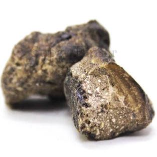 Ambergris (Amber) عنبر اشب