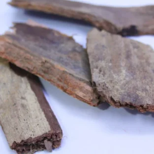 Arjuna Bark(Chal Arjun) چھال ارجن - Image 1