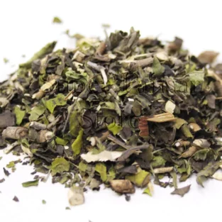 Vasaka (Justicia Adhatoda/Barg e Bansa) برگ بانسہ