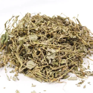 Bacopa Monnieri (Barhami Booti) برہمی بوٹی