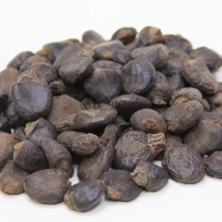 Semecarpus Anacardium Seeds (Bhalaveeh) بھلاوے