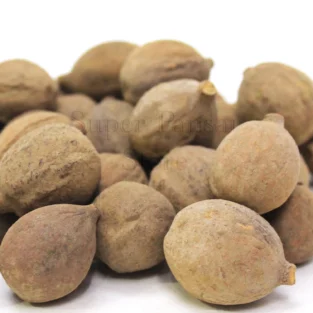 Terminalia Bellirica (Bahera) بھیڑے ،بلیلہ