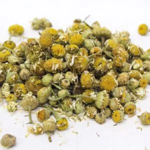 Chamomile (Gul Babona) گل بابونہ