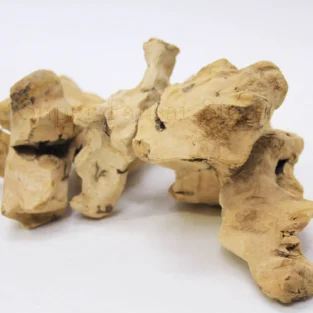 China Root (Chob Chini) چوب چینی