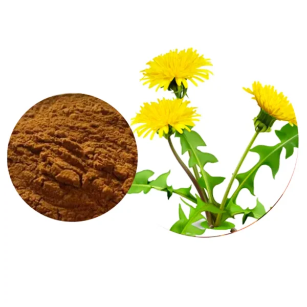 Dandelion-Extract-