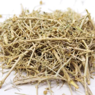 Fagonia Arabica (Dhamai/Dhamasa Botti) دھمائی/دھماسہ