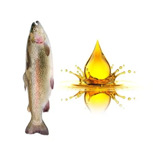 Cod Liver Oil (Fish Oil) روغن مچھلی - Image 1