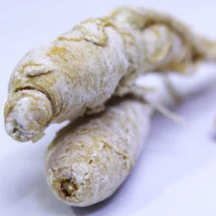 Panax Ginseng جنسنگ چائنہ - Image 1