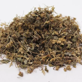 Sweet Violet (Viola Odorata /Gul Banafsha) گل بنفشہ