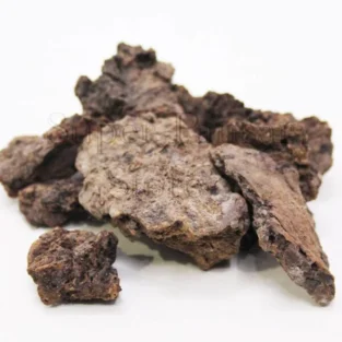 Betel Palm Flower (Gul Supari) گل سپاری