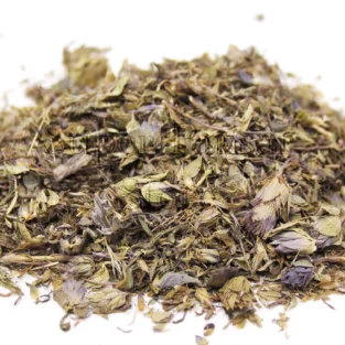 Hyssop (Hyssopus officinalis/Zofa)گل زوفہ