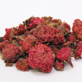 Pomegranate Flower (Gul e Anar) گل انار