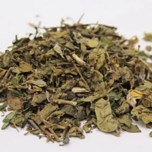 Gymnema Sylvestre (Gurmar Leaves) گڑ ماربوٹی