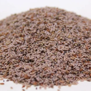 Psyllium Ispaghol (Sabut Isabghol) ثابت اسپغول
