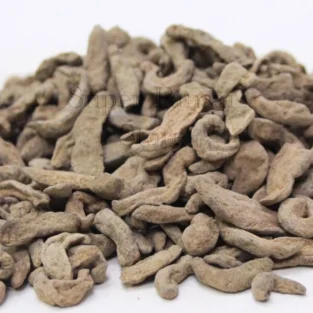 Dried Leeches (Jonk) جونک - Image 1