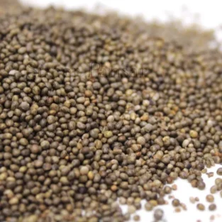 Phyllanthus seeds (Kanocha) تخم کنوچہ