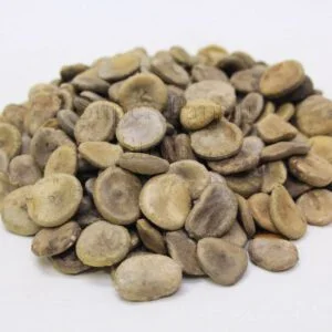 Nux Vomica (Strychnine/Kuchla) کچلہ