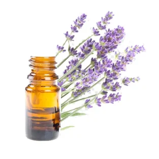 Lavender Oil روغن اسطخودوس - Image 1