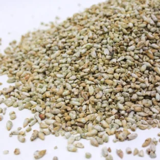 Cotton Seeds (Magaz Banola) مغز بنولہ