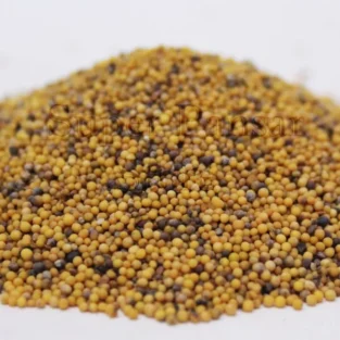 White Mustard Seed (Sarsoon Safeed/Rai)سرسوں سفید/رائی - Image 1