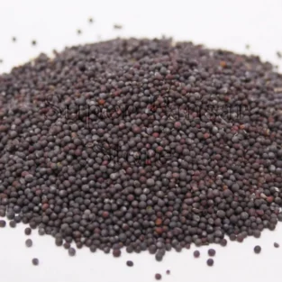 Mustard Seeds (Sarson Siyah/Rai) سرسوں سیاہ - Image 1
