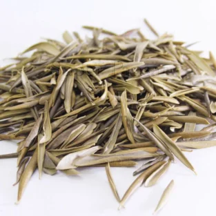 Olive Leaves (Barg e Zaitoon) زیتون کے پتے