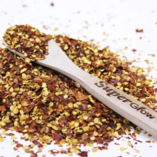 Red Chilli Falkes (Dara Mirch) کٹی لال مرچ/دڑا مرچ