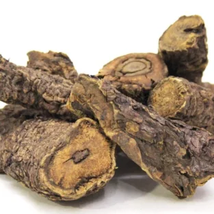 Rhubarb Roots(Rewand Chini) ریوند چینی - Image 1