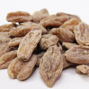 Salep Orchid (Salab Misri) ثعلب مصری