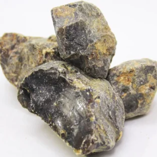 Scammony (Saqmonia) سقمونیا