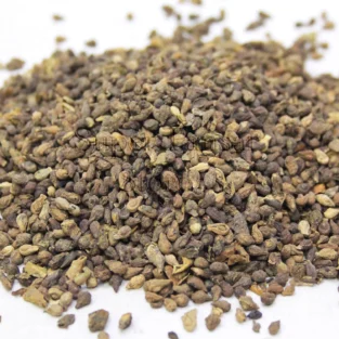 Shivlingi Seeds (Bryonia Laciniosa/Shablingi) شبلنگی