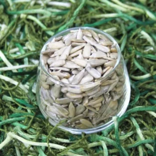 Sunflower seeds without shell مغز سورج مکھی - Image 1