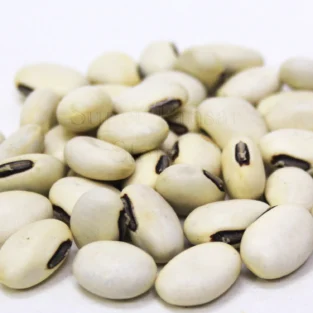 Mucuna Pruriens (Velvet Beans/Konch Safeed) کونچ سفید