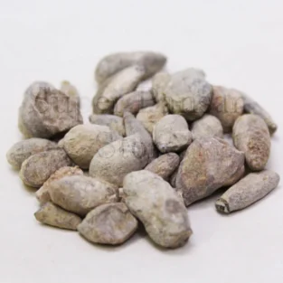 Lapis Judaicus (Sang e Yahood) سنگ یہود