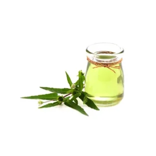 Bhringraj Oil روغن بھنگڑہ سیاہ